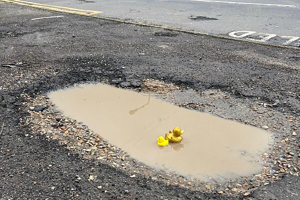 Rubber Ducks floating in a giant pothole on Guilsway